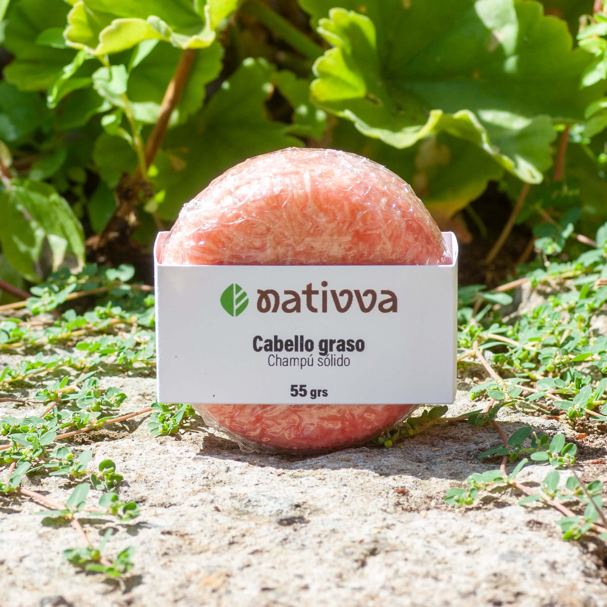 Pastilla de champú sólido para cabello graso de 55 g