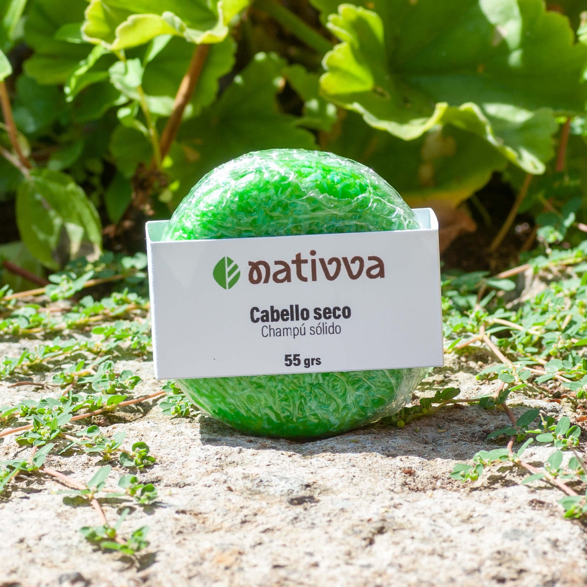 Pastilla de champú sólido para cabello seco de 55 g
