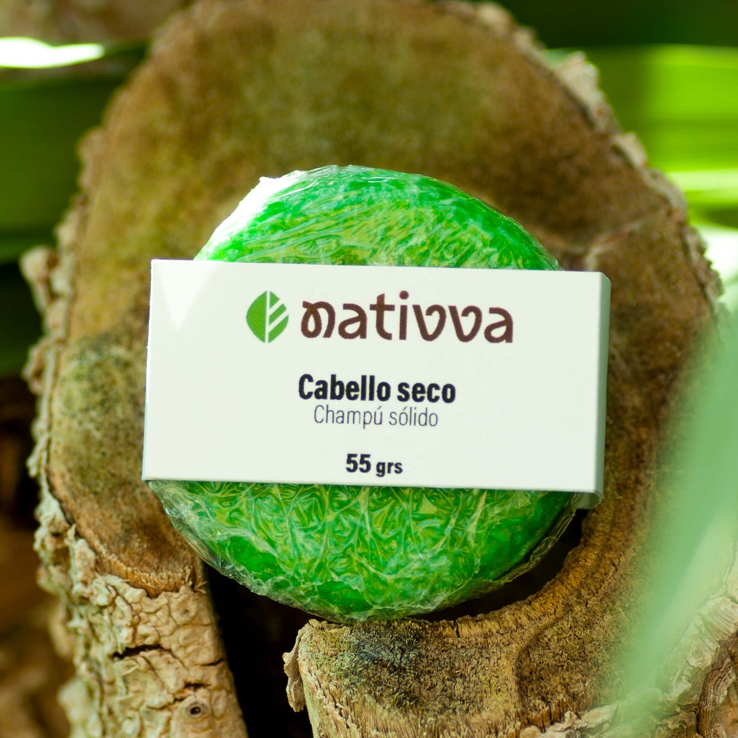Champú sólido para cabello seco con aloe vera y manteca de cacao