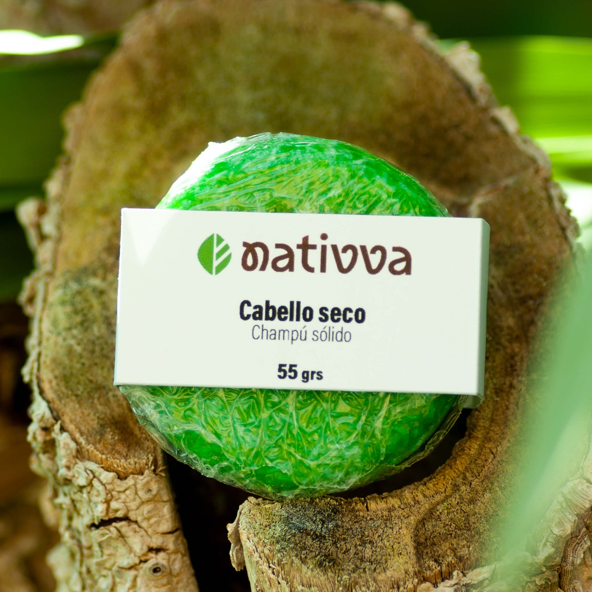 Champú sólido para cabello seco con aloe vera y manteca de cacao