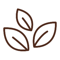 Icono ingredientes naturales Nativva